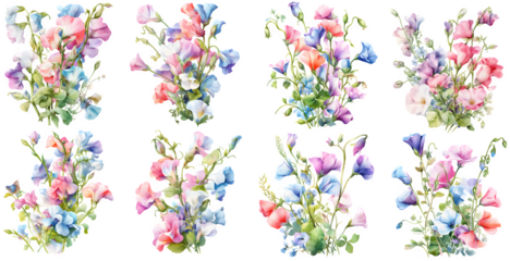 sweet pea flower watercolor illustration clipart. Generative AI