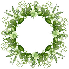 Frame, postcard made of green pea twigs, flowers, curls and green pods on a white background. Watercolor illustration. Template for postcards, frames, invitations, greetings. food, wedding