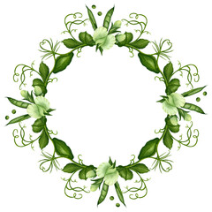 Fototapeta premium Frame, postcard made of green pea twigs, flowers, curls and green pods on a white background. Watercolor illustration. Template for postcards, frames, invitations, greetings. food, wedding