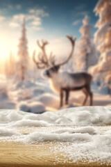 Empty mockup background of cold winter time. Blurred background with reindeers. Landscape of winter forest. Christmas time. Natural light and backdrop. 