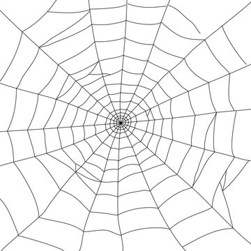 spiderweb element