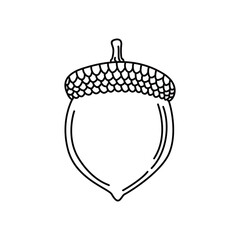 acorn icon design. autumn element sign and symbol.