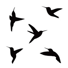 set of hummingbird silhouette design. beautiful bird sign and symbol.