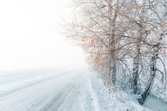 Fototapeta Krajobraz zimowy, wschód słońca, mgła i zaśnieżone drzewa (Winter landscape, sunrise, fog and snow-covered trees)