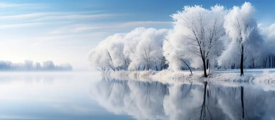 Printed roller blinds Reflection In late autumn on grassy banks of the river trees stand without leaves After a night frost grass bushes and tree branches are covered with frost The trees are reflected in the calm water Cold
