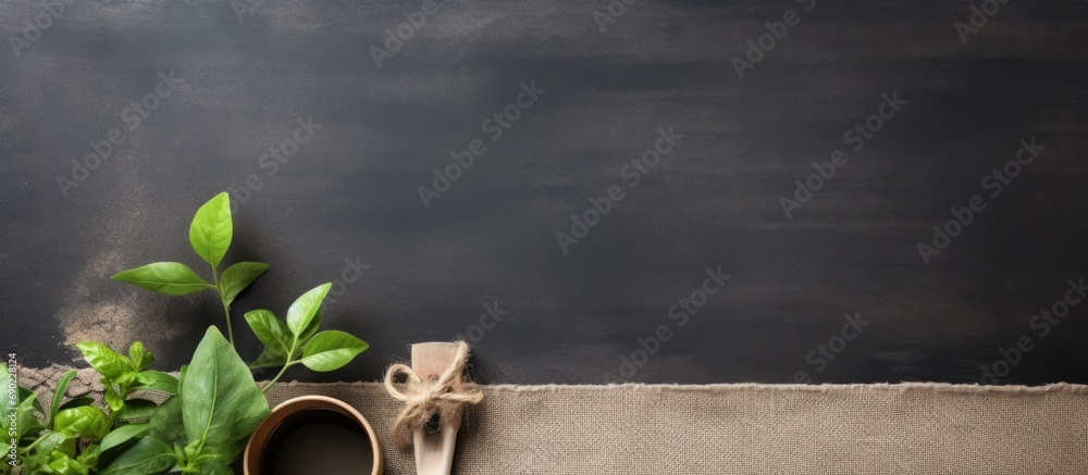 Poster horticulture garden mini tools chalk board and twig with green leaves on burlap. website header. cre