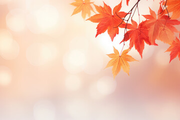 Naklejka na ściany i meble Autumn with a holiday banner featuring a vibrant fall landscape and closeup of colorful maple leaves. Ideal for conveying the beauty of autumn festivities and nature's transition. Space for text.
