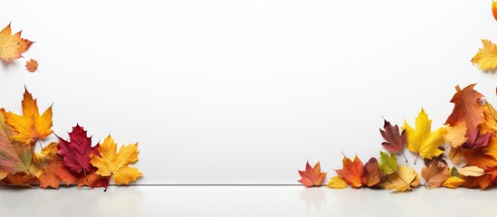 Naklejka na ściany i meble isolated colorful golden red orange colored autumnal tree leaves on the ground for foreground white screen. Website header. Creative Banner. Copyspace image