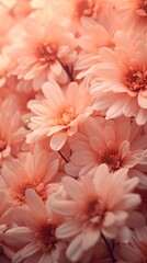 Minimalistic background in lovely colors in shades of Peach Fuzz.