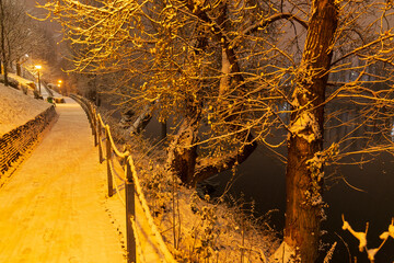 Night snowy Nature with Trees around River Vltava, Holesovice, the most cool Prague District, Czech...