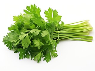 Bunch of parsley isolated on white background
