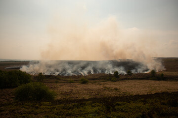 Wildfires on Moor Land  in Northern England 