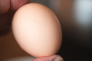 Hand holding an raw egg ready to cook