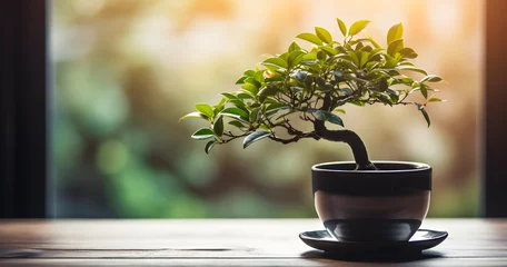  a small bonsai of old tree in a black mug on a wooden table in front of a blurry background of a blurry image of a wall and a window © Lucky Vision