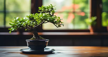Poster a small bonsai of old tree in a black mug on a wooden table in front of a blurry background of a blurry image of a wall and a window © Lucky Vision