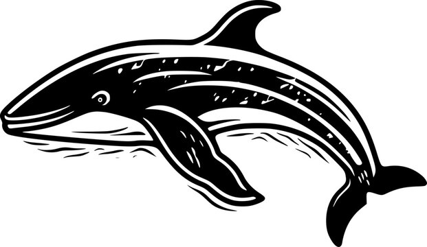 black and white dolphin swimming clip art preview