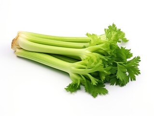 Celery stalks isolated on white background