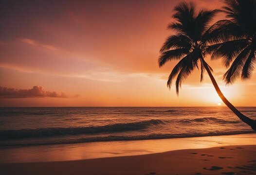 sunset on the beach and palms in the corner