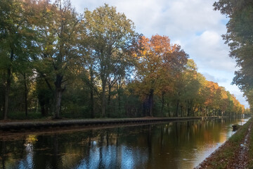 This image captures the tranquil beauty of an autumn scene along a serene canal. Tall trees, exhibiting the warm spectrum of fall foliage, from deep greens to vibrant oranges and subtle yellows, line