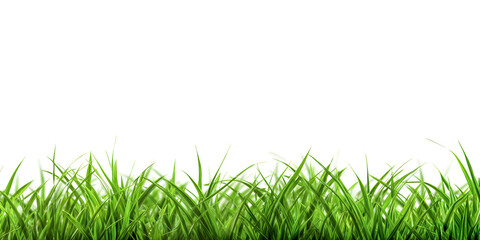 Obraz premium Cut out grass isolated on white background