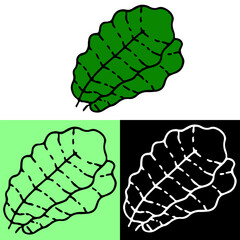 green leaf illustration, hand drawn outline, this illustration can be used for icons, logos, and symbols, vector in flat design style