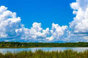 Laguna lagoon Coba river lake cenote with blue water Mexico.