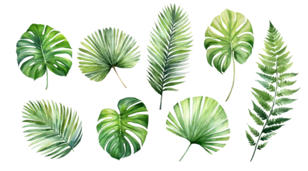 Foto op Canvas tropical plant leaves, palm leaves and monstera on white background,Exotic plants, vector watercolor illustration,Palm Sunday © LeoOrigami