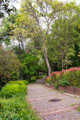 Cobblestone winding path leads through a lush green forest with lush tall imposing trees on either sides, located in Fethi Pasa Grove on the Asian side of Istanbul, Turkey, in a spring day