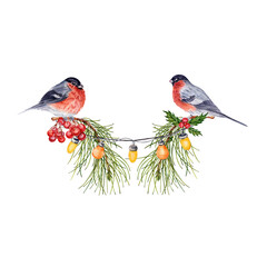 Christmas composition, pine tree branches, lights, bullfinch birds and rowan berries. Banner design element. Watercolor illustration isolated on transparent background. Card, flyer, invitation border.