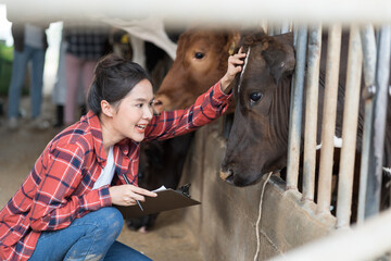 agriculture industry, dairy farming, livestock, animal health and welfare. Dairy farmer female...