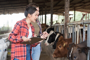 agriculture industry, dairy farming, livestock, animal health and welfare. Dairy farmer female...