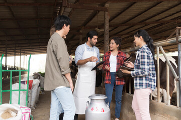 agriculture industry, livestock, animal health and welfare. Dairy farmer male and female working in cowshed on dairy farm. Male and female veterinarian meeting and training in cowshed on dairy farm