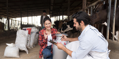 agriculture industry, livestock, animal health and welfare. Dairy farmer male and female working in cowshed on dairy farm. Male and female veterinarian meeting and training in cowshed on dairy farm - obrazy, fototapety, plakaty