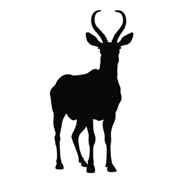 recommend clip art: Silhouette of Antelope on White.