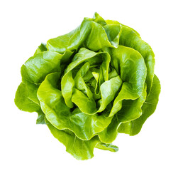 top view of head of boston round lettuce isolated - obrazy, fototapety, plakaty