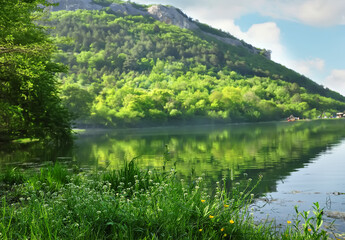 Fototapeta na wymiar Beautiful view of the lake on a summer day. lush blooming flowers on the lake in the mountains. 