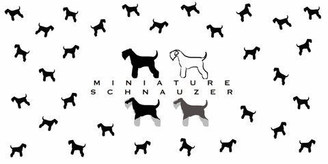 vector miniature schnauzer background 