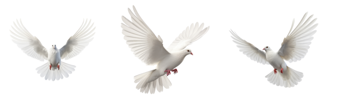 Set of Freedom and peace, this image features an elegant white dove in graceful flight, symbolizing purity and liberty. The bird embodies the beauty of unbridled freedom and celestial serenity.