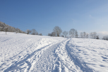Fototapeta na wymiar Snow covered hill with blue sky and treeline on the horizon