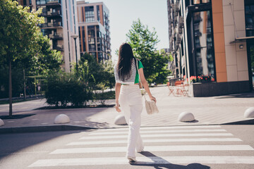 Full length body view photo of steps brunette hair woman crosswalk city streets traveling on fresh...