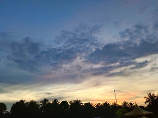 sunset over the field
