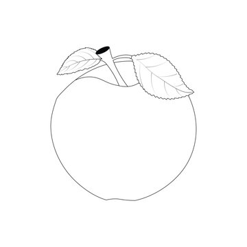 illustration of apple