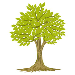 illustration of tree plants