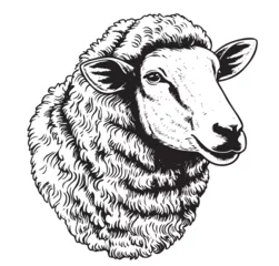 Poster Sheep head portrait illustration, drawing engraving ink, line art, vector © BigJoy
