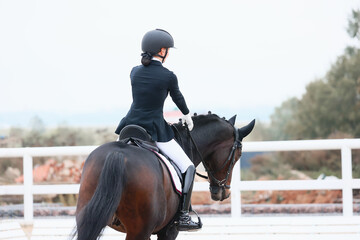 Equestrian sports, dressage, the horse is light in hand. Shooting from the back