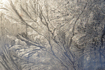frosty patterns on the glass window.
