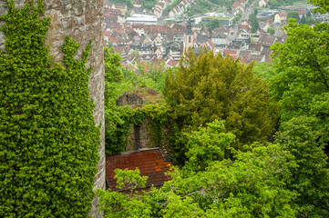 Aussicht von Burg Hohennagold mit Bewuchs von Grünpflanzen an mittelalterlicher Mauer und Turm