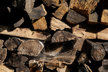 Background of firewood. Wooden stumps, firewood stacked in heap.