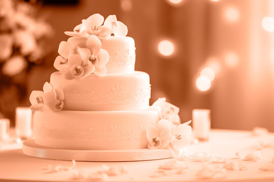 A beautiful peach-colored birthday cake on a background with a place to copy. A space to copy the peach color. 