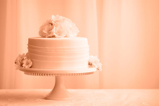 A beautiful peach-colored birthday cake on a background with a place to copy. A space to copy the peach color. 